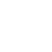 toysfestas